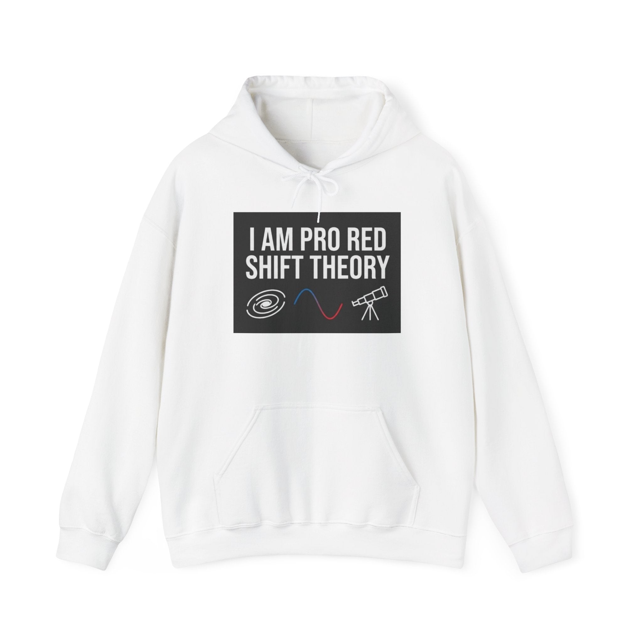 Nerd theory Hooded Sweatshirt