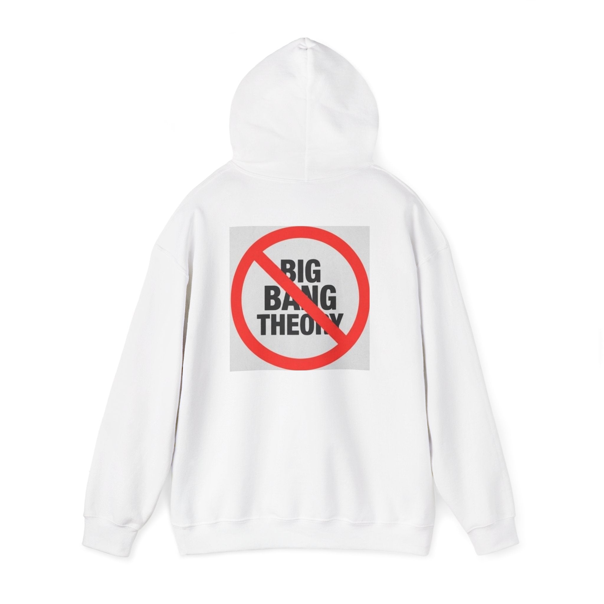Nerd theory Hooded Sweatshirt