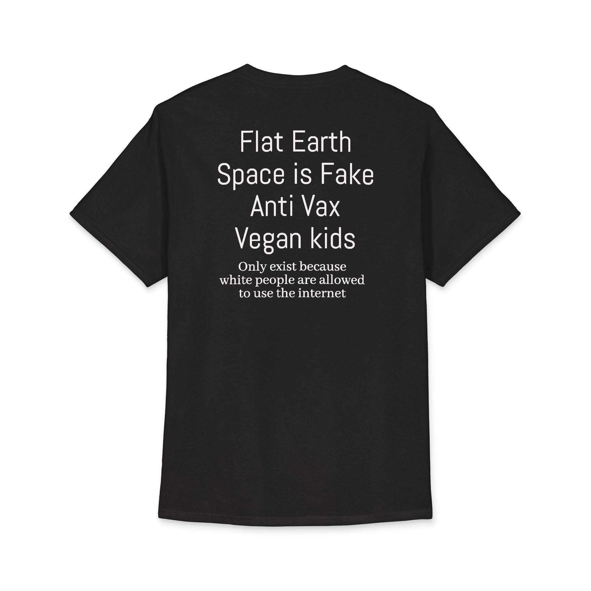 Space is Fake Shirt