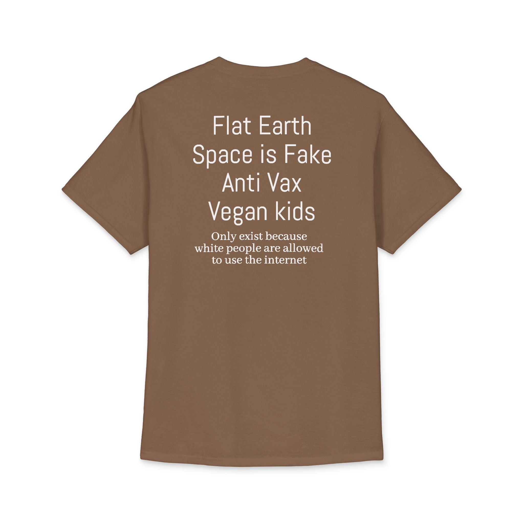 Space is Fake Shirt