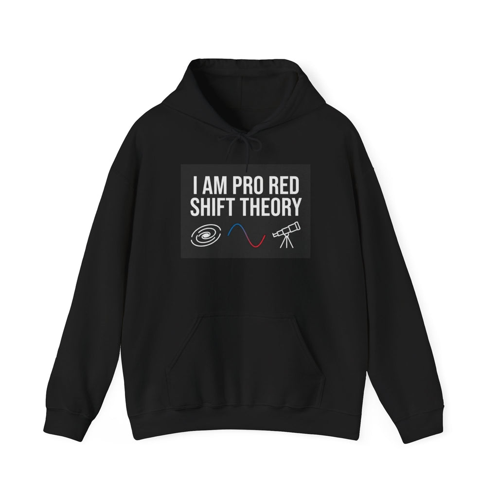 Nerd theory Hooded Sweatshirt